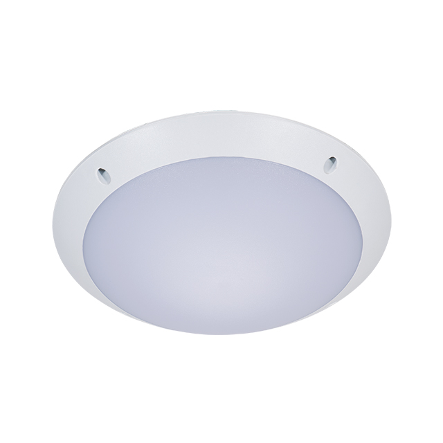 12W LED Ceiling Light (PS-CL32L)
